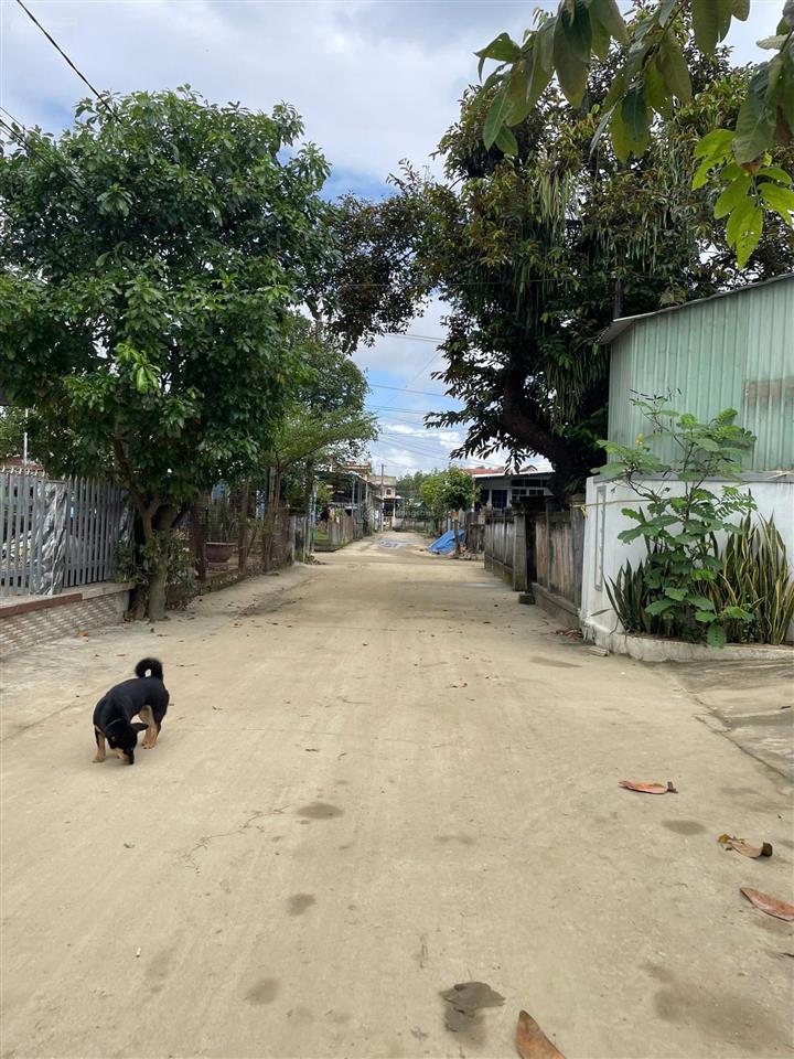 La huân điện thọ phường điện bàn tây tp đà nẵng