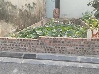 Chính chủ gửi bán gấp mảnh đất đẹp 32m2 địa chỉ tại thôn phúc thọ, mai lâm, đông anh, hà nội.