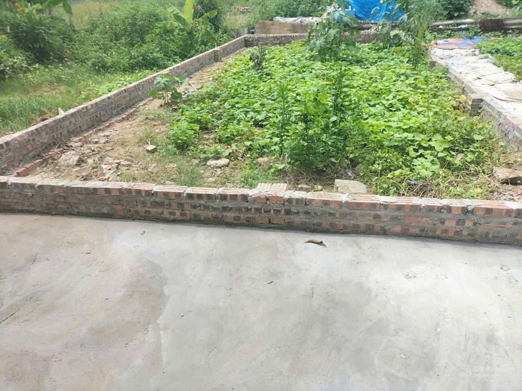 Chính chủ cần tiền gửi bán gấp mảnh đất đẹp 50m thôn hội phụ, đông hội, đông anh hà nội.