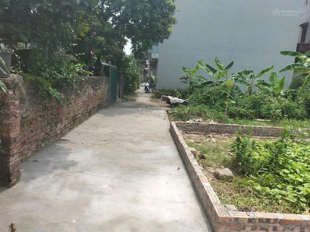 Chính chủ cần tiền gửi bán gấp mảnh đất đẹp 50m thôn hội phụ, đông hội, đông anh hà nội.