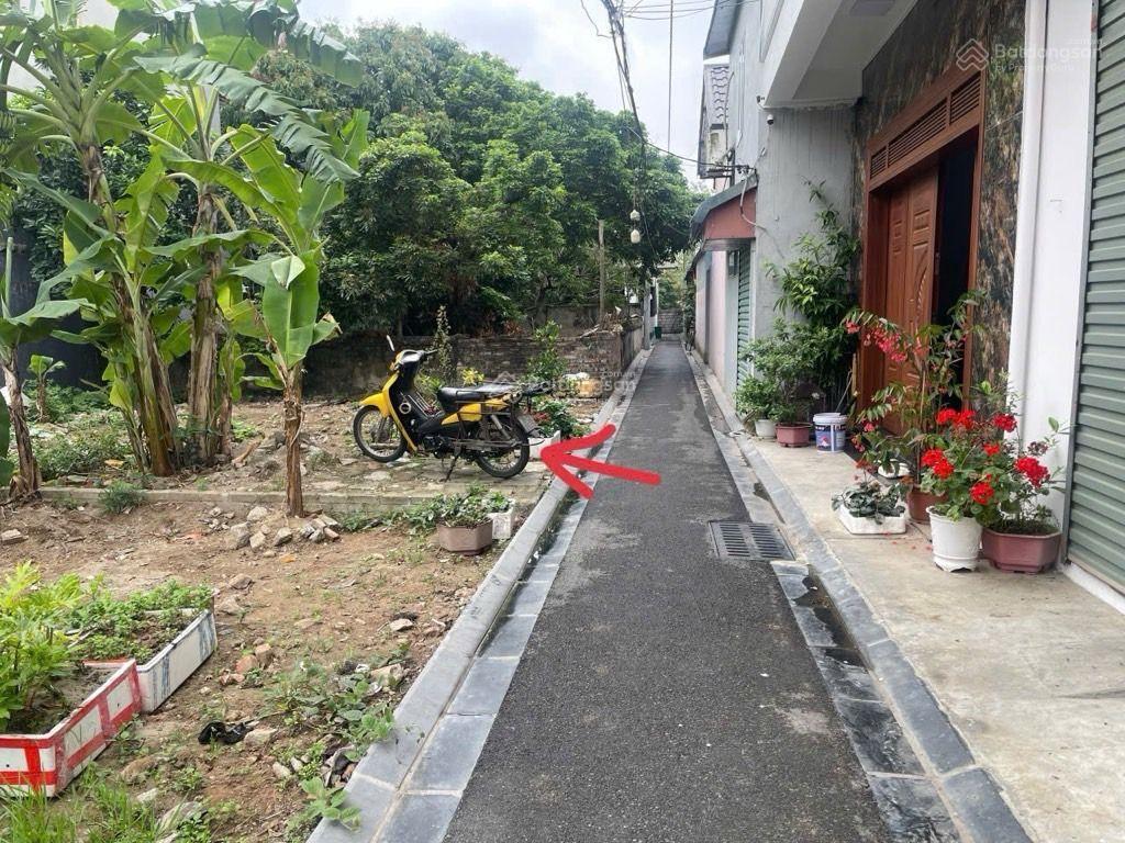 Rẻ nhất nghĩa vũ, dục tú, đông anh hà nội giá chỉ 55 triệu/m2