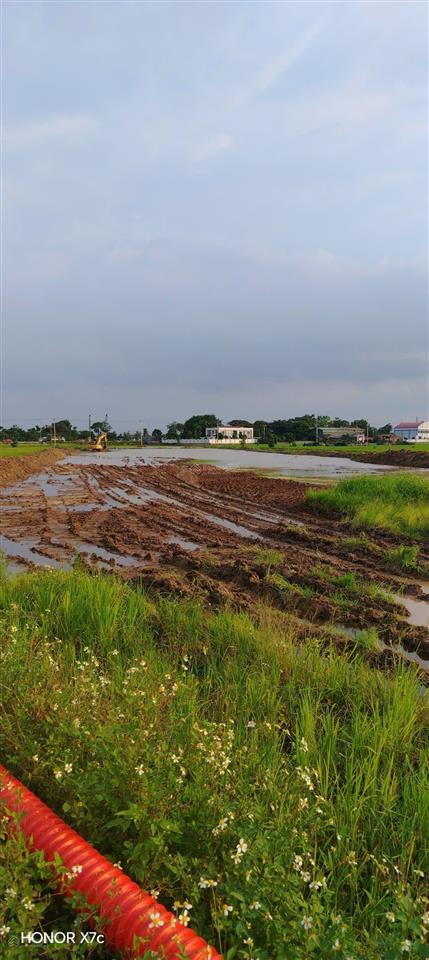 Chính chủ cần tiền gửi bán gấp mảnh đất đẹp đấu giá dục tú, đông anh, hà nội.