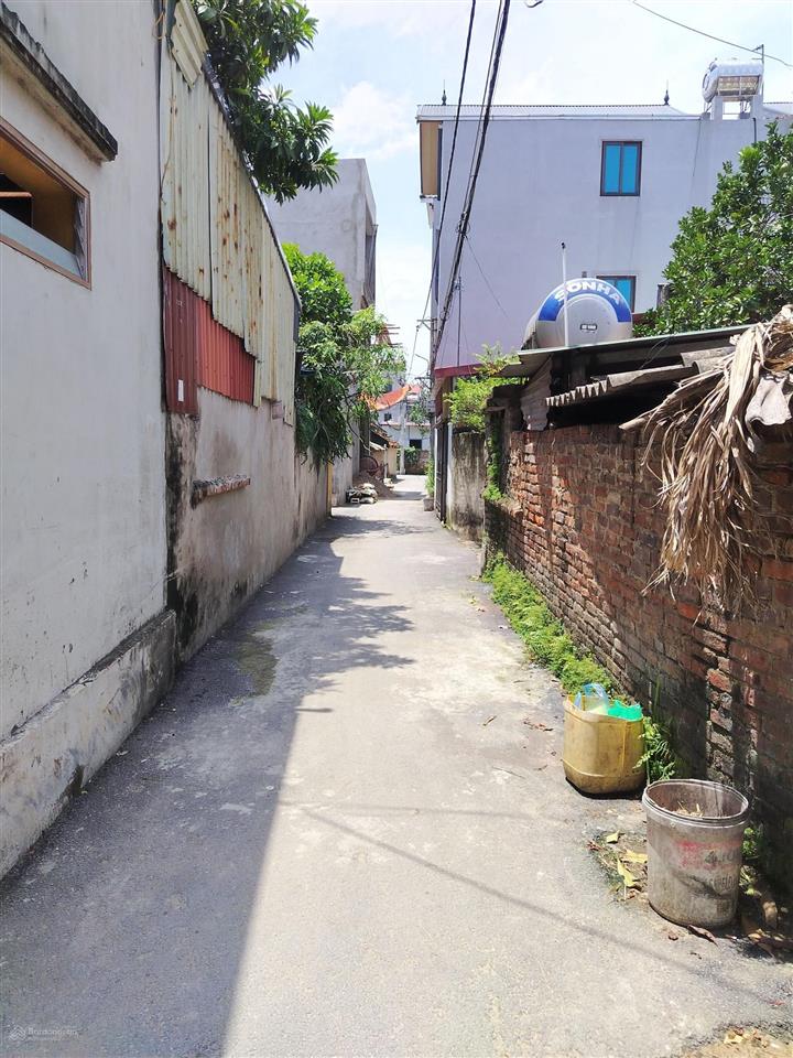 Chính chủ gửi bán mảnh đất 119m thôn mạch tràng, cổ loa, đông anh hà nội. giá 48 triệu/m.