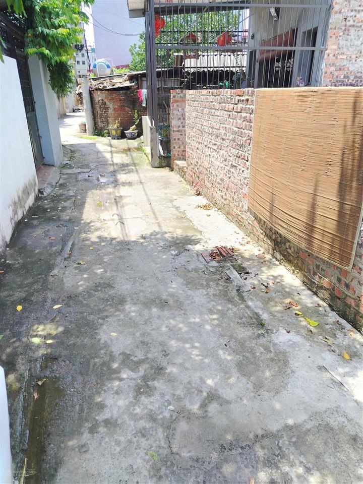 Chính chủ gửi bán mảnh đất 119m thôn mạch tràng, cổ loa, đông anh hà nội. giá 48 triệu/m.