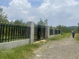 [bán nhanh trong 15 ngày] 1018m2 đất vườn thanh sơn  định quán  sổ sẵn