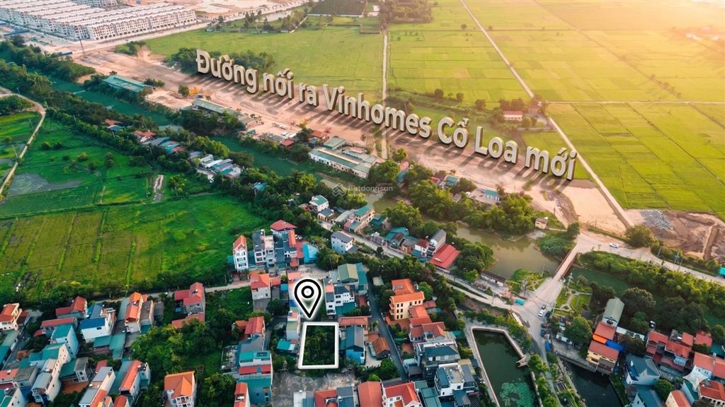 432m2 full thổ cư tại đông anh cách vin cổ loa 2km thanh lý siêu hời