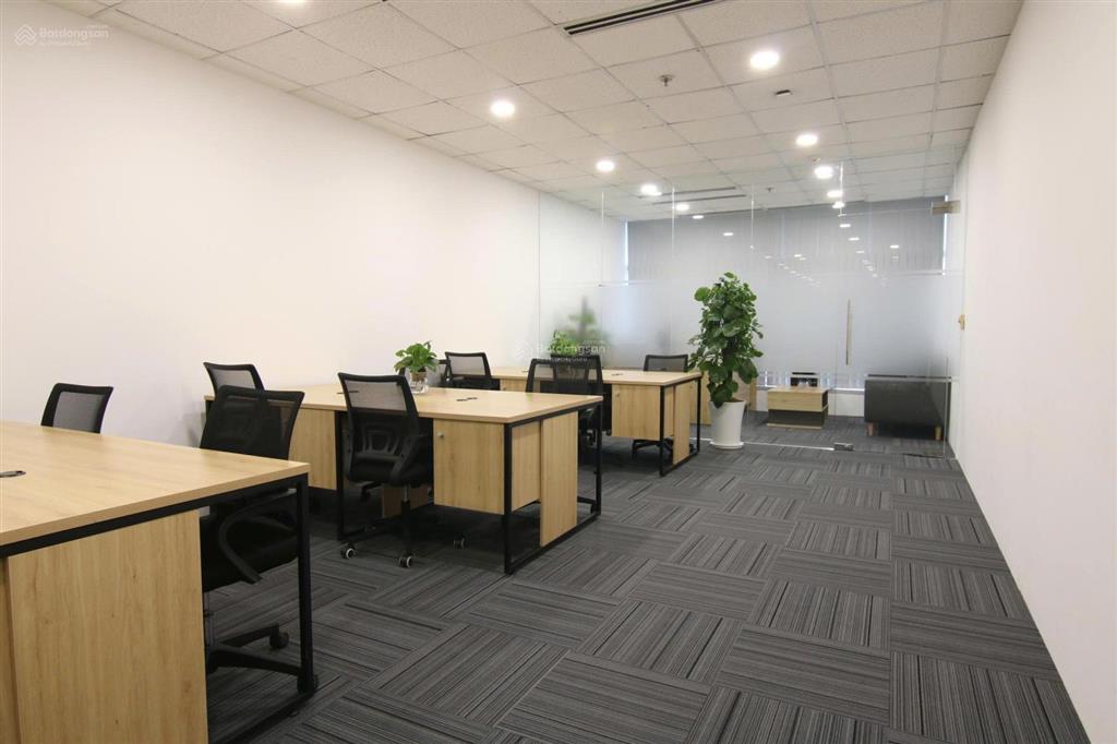 Cho thuê văn phòng victory 50m giá 28 triệu full nội thất phú mỹ hưng quận 7