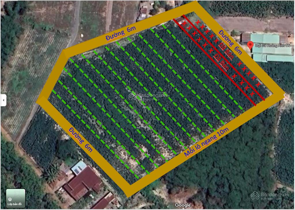 Bán trang trại khu nghỉ dưỡng tại cầu khởi, dương minh châu, tây ninh, 800 triệu