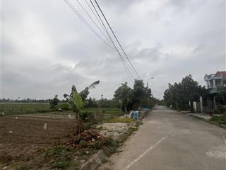 Bán đất tái định cư tân viên, 1,7 tỷ, 85 m2, đường 362, an lão, hải phòng