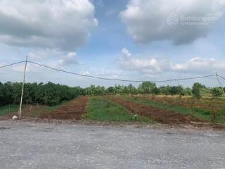 Bán đất trung tâm tt lai vung 1400m2 đường nhựa 7m