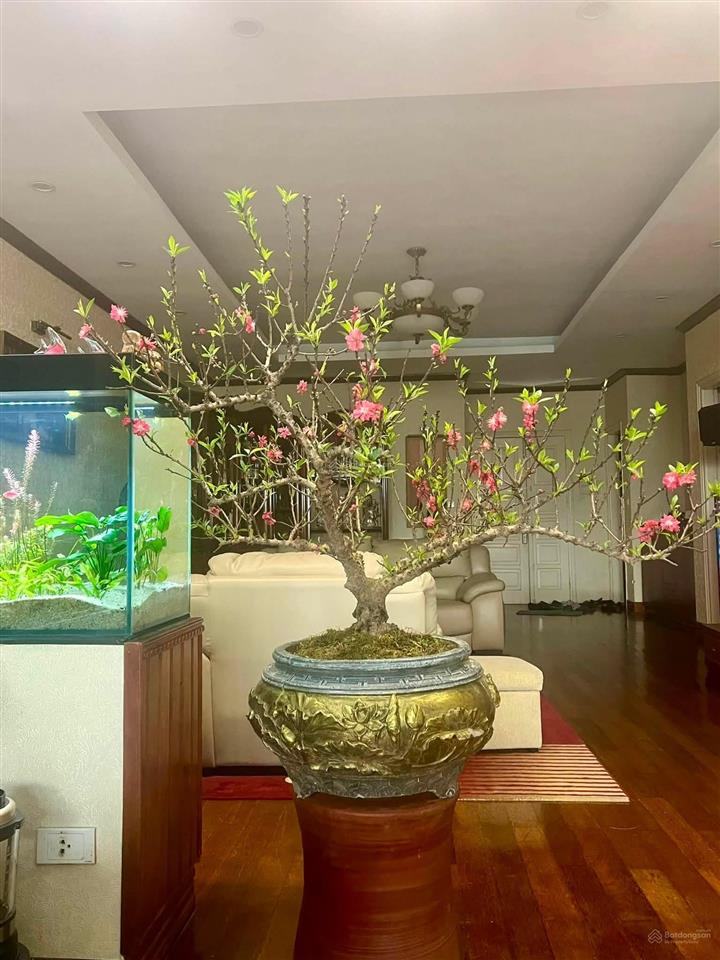 Bán căn hộ chung cư 57 láng hạ, 178m2, 3 ngủ, 2wc, view phố, full nội thất, slot ô tô, về ở luôn!