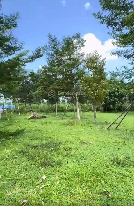 Cực hiếm! chính chủ bán đất vườn hòa phú view suối 2.234m²  nở hậu, vườn sẵn, làm farm