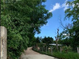 Bán lô đất kiệt thôn đông yên, xã duy trinh, huyện duy xuyên,tỉnh quảng nam