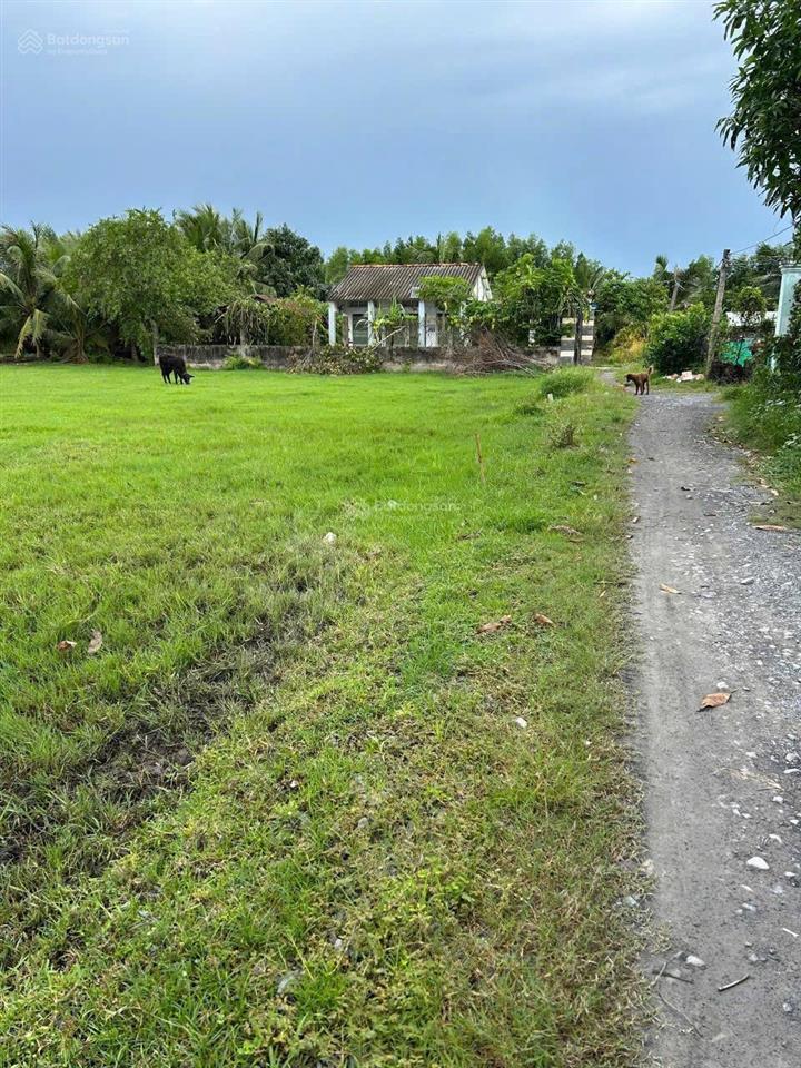 Bán đất tại xã hoà khánh đông, 1,5 tỷ, 483m2 full thổ cư