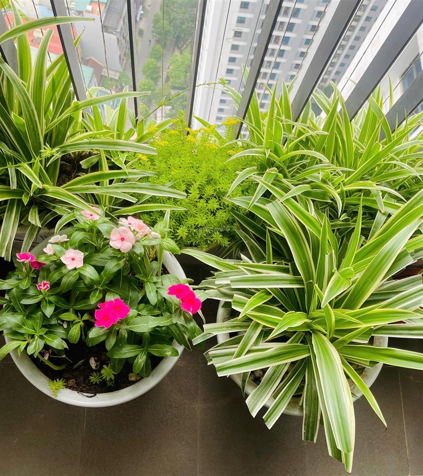 Duy nhất! cho thuê vào ở ngay căn pn 104m2 full nt đẹp gold mark city,  e. thắng 24/7 0988 415 ***