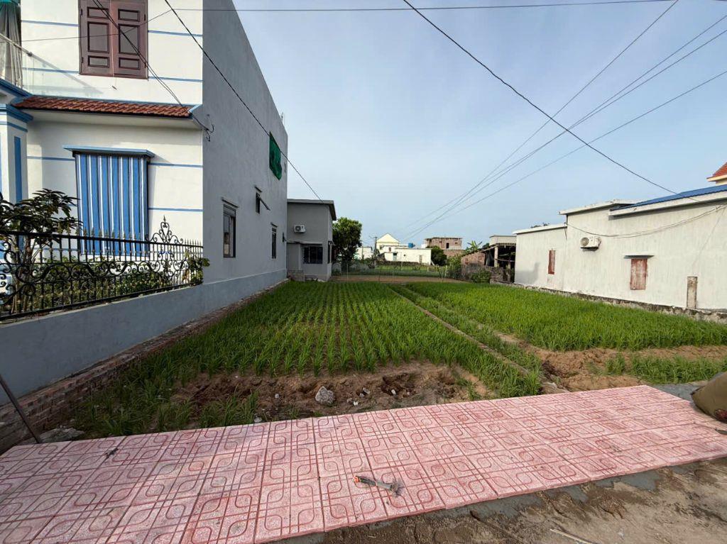 Cần Bán Gấp Lô Đất MT 8M, DT 128m. Đất Sẵn Sổ Full cư. Diện Tích To