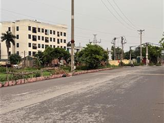 Hàng hiếm ngũ hiệp thanh trì 40m2 phân lô, ô tô, vào tận đất chính chủ nhờ bán