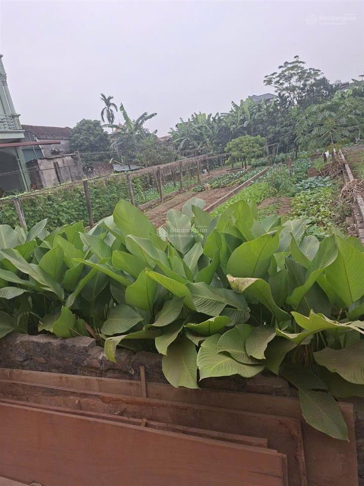 Đất 100m đường ô tô đội 3 xã chương dương tp hà nội