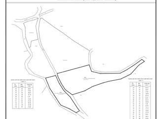 Bán đất vườn cà phê tại đà lạt nam ban, lâm hà