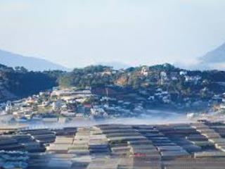 Cho thuê siêu phẩm tại đà lạt diện tích 15.000m2