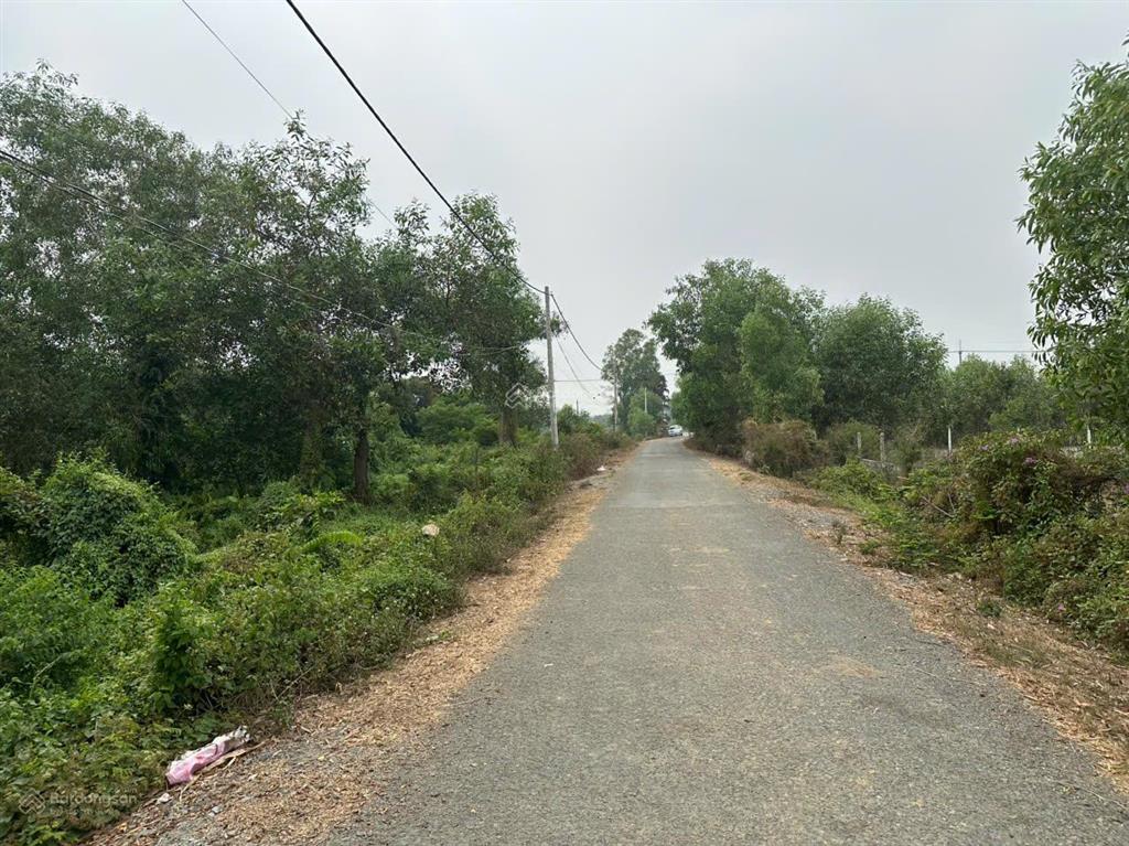 Bán gấp 1,7 ha đất đường nhựa tại củ chi gần sát vành đai 4 và vinhomes hóc môn giá 2,95tr/m2