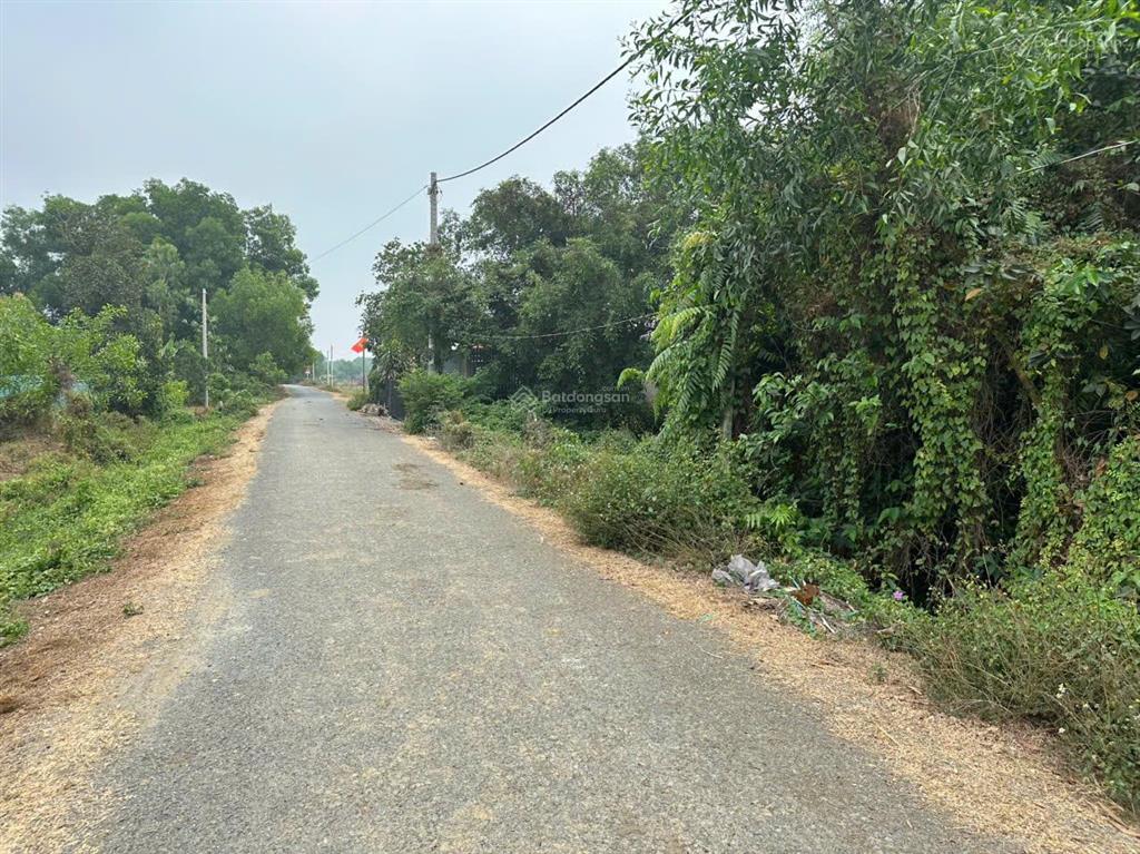 Bán gấp 1,7 ha đất đường nhựa tại củ chi gần sát vành đai 4 và vinhomes hóc môn giá 2,95tr/m2