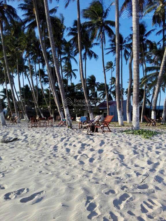 Chính chủ bán 1660m2 giá 24 tỷ đối diện centara resort, giá chuẩn không phải môi giới đăng loạn