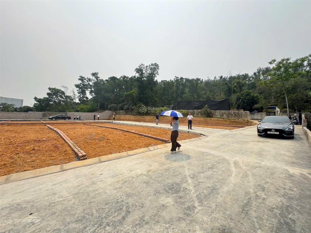 Đất thổ cư phù ninh, còn lô đẹp như hình giá sales , tìm người mua quyết đoán nhanh tay