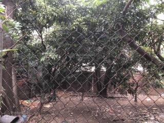 80m² đất ở thổ cư, lê trọng tấn, dương nội, hà đông, hà nội. mtg.