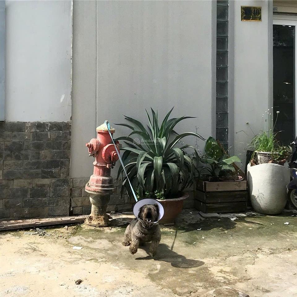 Cần bán gấp nhà trong hẻm nguyễn công hoan, quận phú nhuận với diện tích 33,2m2. giá bán 8,2 tỷ