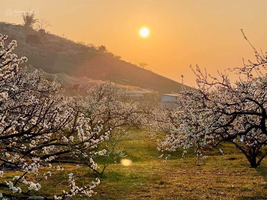 Mặt đường văn cao cần bán ....