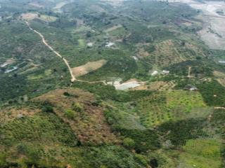 1299.8m2 đất vườn view đồi, sổ sẵn. yên tĩnh, an yên, phát triển dài hạn