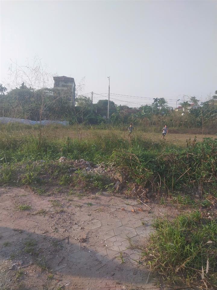 BÁN 3 HA ĐẤT SẢN XUẤT KINH DOANH TẠI PHÚ TÚC - PHÚ XUYÊN - HÀ NỘI - CHỈ 5 TRIỆU/M2