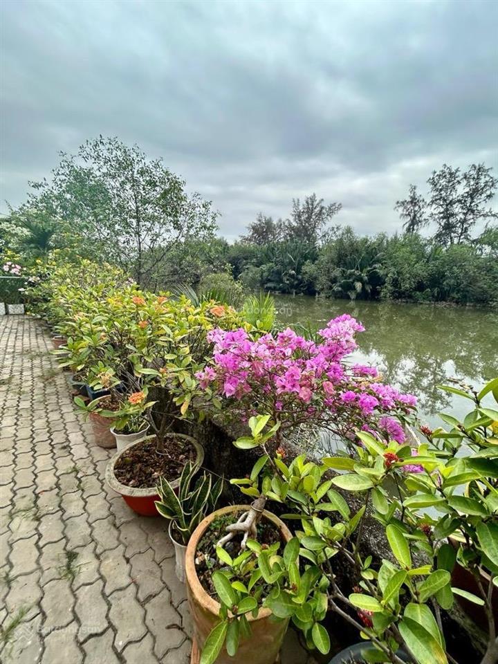 Bán nhà, view sông, 6x15m, gần nguyễn thị thập, 5 tầng, hxh, q7, hơn 20 tỷ