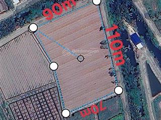 Bán 8694m2 đất vườn lô góc 2 mặt tièn 110x90m giá 5tỷ3. thủ thừa long an