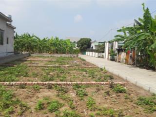 Bán đất bát trang an lão hải phòng. gần kcn tràng duệ 3