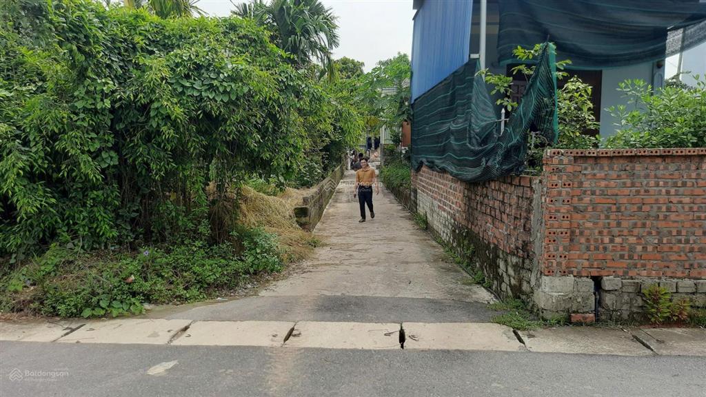 Bán đất sau nhà mặt đường liên xã thủy nguyên
