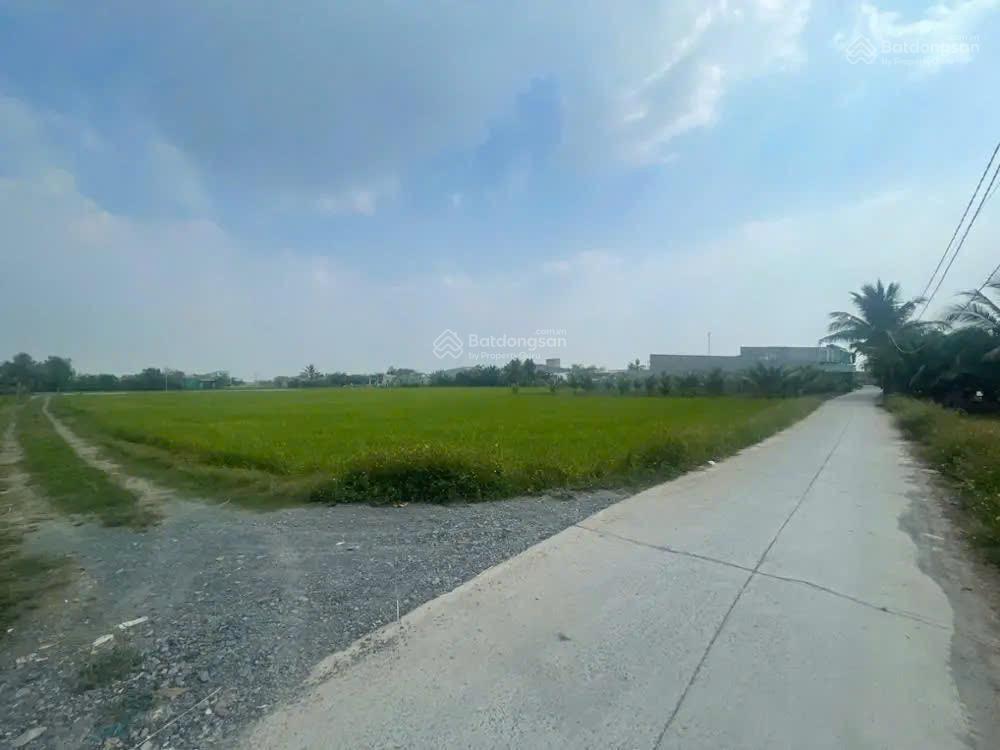 Ngân hàng thanh lý bđs tại xã đức hòa đông, huyện đức hòa, tỉnh long an.