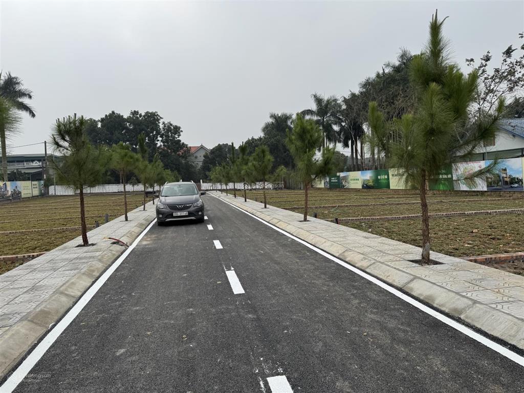 Cơ hội đầu tư đất nền hoà lạc giá từ 3 tỷ/lô diện tích đẹp 260  300m²