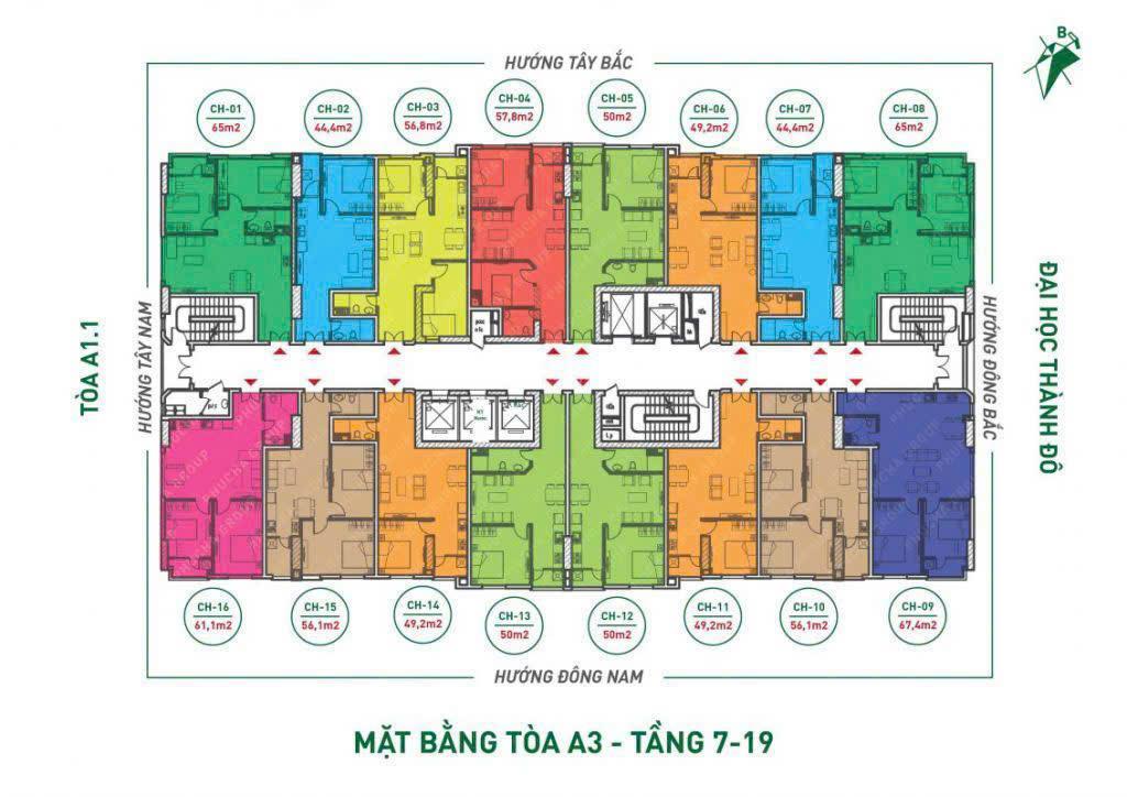 Tht new city noxh sát đại học thành đô