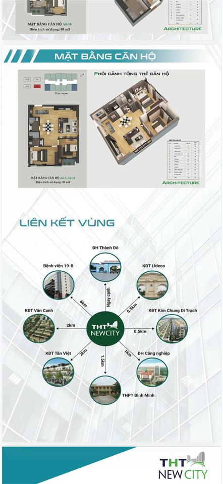 Tht new city noxh sát đại học thành đô