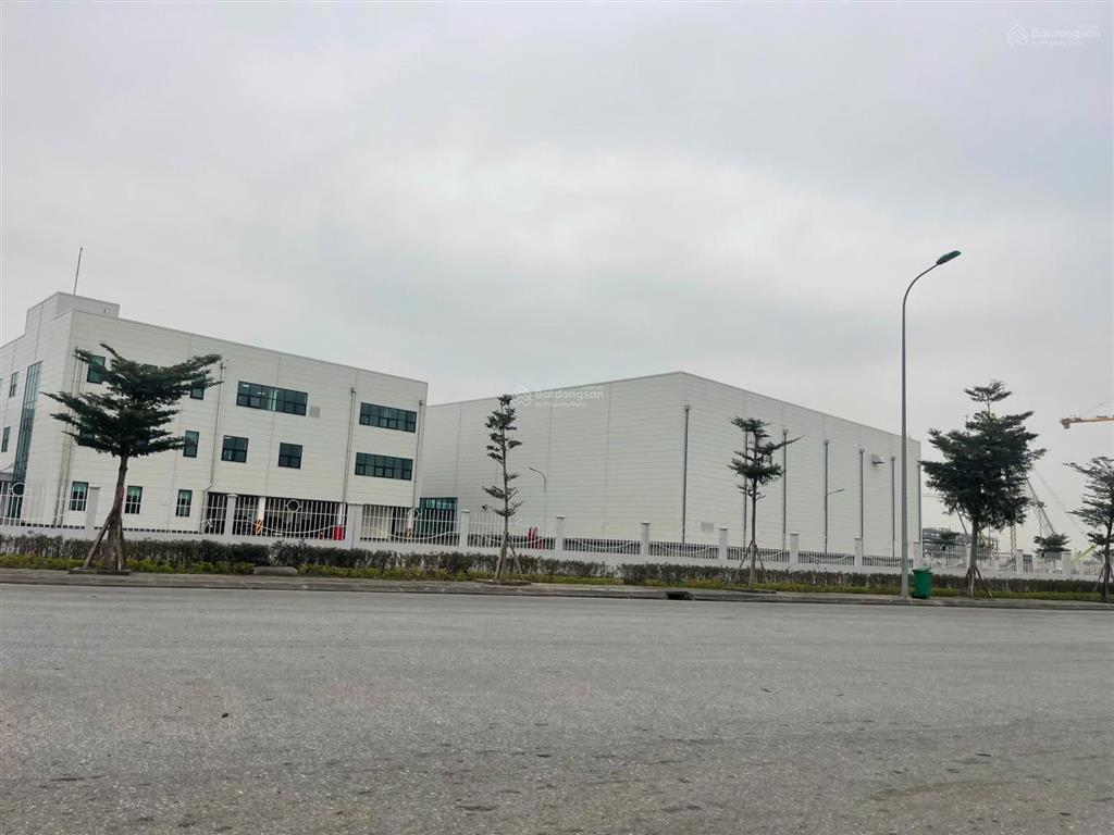 Bán 1 ha đất kho xưởng nhà máy kcn hải long, giao thủy, đường bộ ven biển bắc bộ, nút giao