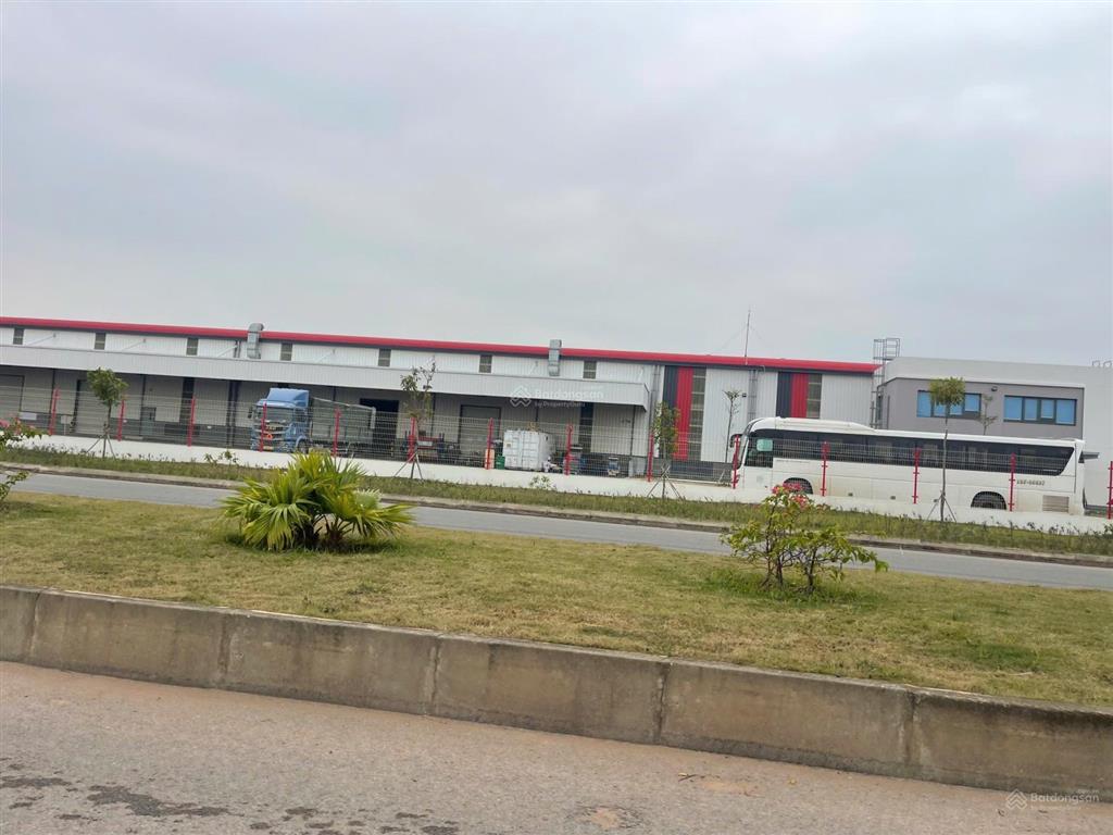 Bán 1 ha đất kho nhà xưởng kcn kinh tế hải long thái bình, đường bộ ven biển, sân bay, cảng