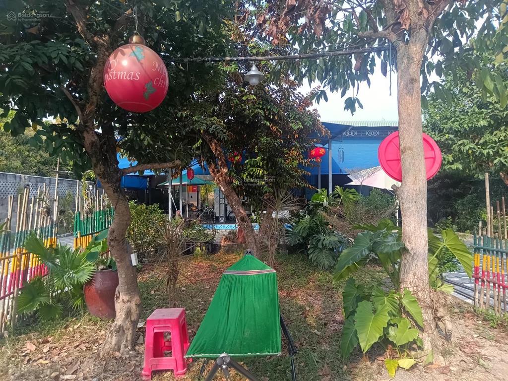 Bán nhà vườn sổ full hồng riêng 300m2 thổ cư, nhà mới, hồ bơi, ở được ngay, 5.5 tỷ phú lý, vĩnh cửu