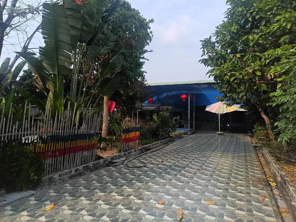 Bán nhà vườn sổ full hồng riêng 300m2 thổ cư, nhà mới, hồ bơi, ở được ngay, 5.5 tỷ phú lý, vĩnh cửu