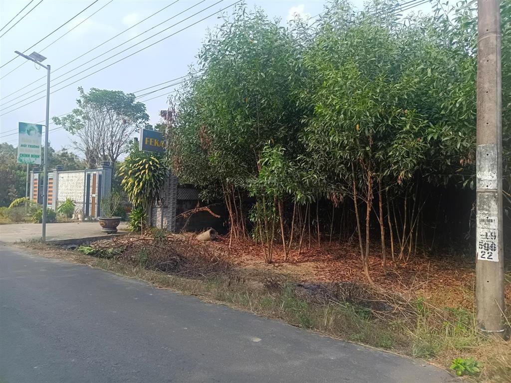 Bán nhà vườn sổ full hồng riêng 300m2 thổ cư, nhà mới, hồ bơi, ở được ngay, 5.5 tỷ phú lý, vĩnh cửu