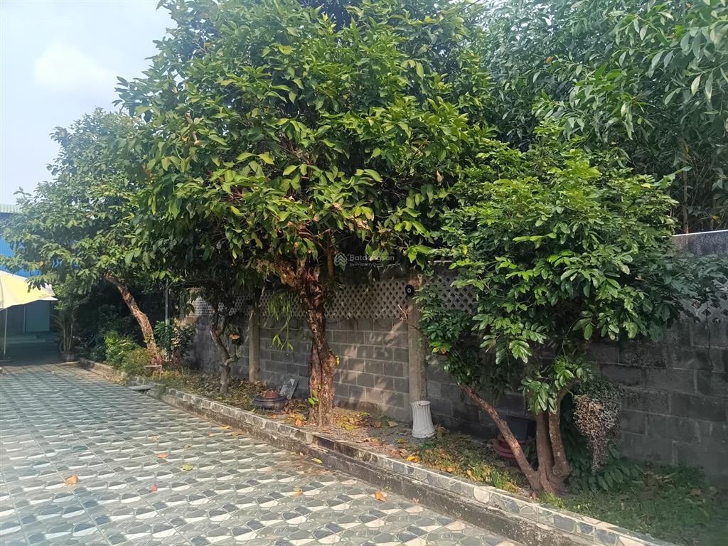 Bán nhà vườn sổ full hồng riêng 300m2 thổ cư, nhà mới, hồ bơi, ở được ngay, 5.5 tỷ phú lý, vĩnh cửu