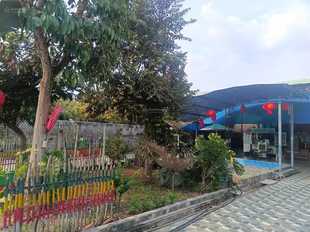 Bán nhà vườn sổ full hồng riêng 300m2 thổ cư, nhà mới, hồ bơi, ở được ngay, 5.5 tỷ phú lý, vĩnh cửu