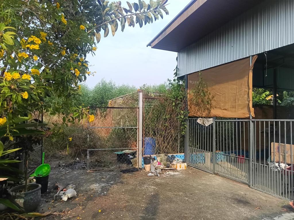 Bán nhà vườn sổ full hồng riêng 300m2 thổ cư, nhà mới, hồ bơi, ở được ngay, 5.5 tỷ phú lý, vĩnh cửu