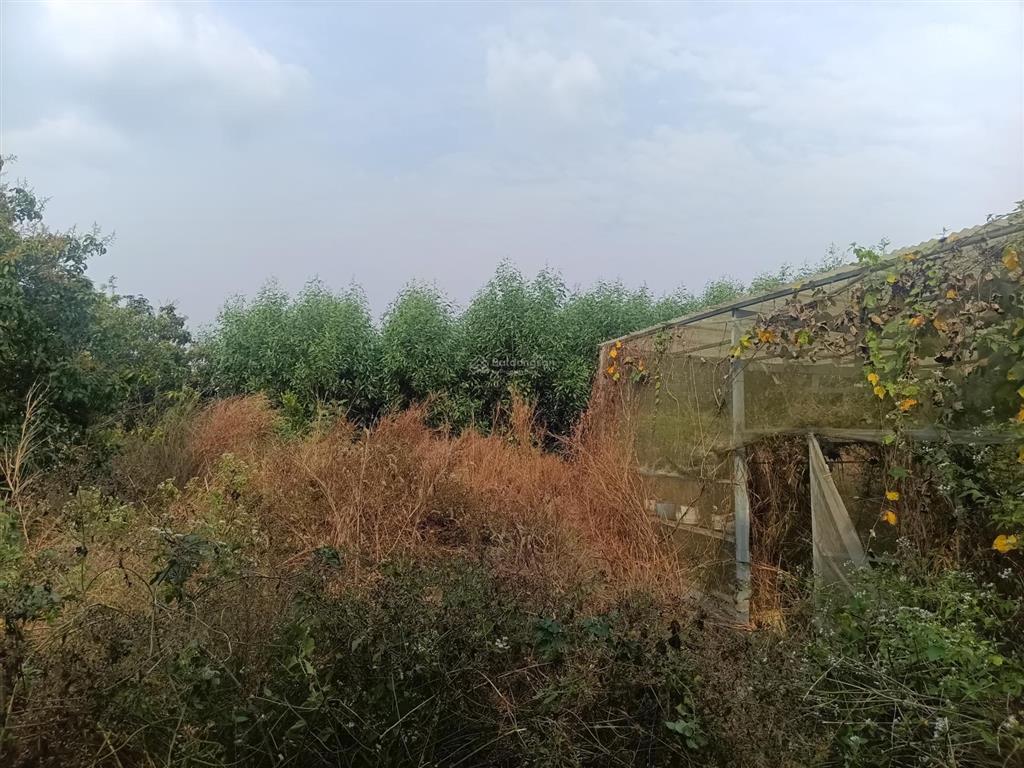 Bán nhà vườn sổ full hồng riêng 300m2 thổ cư, nhà mới, hồ bơi, ở được ngay, 5.5 tỷ phú lý, vĩnh cửu
